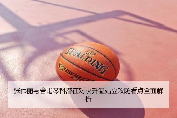 张伟丽与舍甫琴科潜在对决升温站立攻防看点全面解析