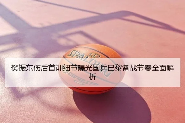 樊振东伤后首训细节曝光国乒巴黎备战节奏全面解析