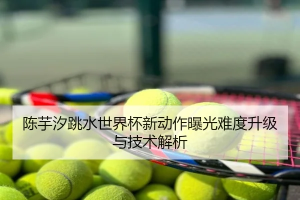陈芋汐跳水世界杯新动作曝光难度升级与技术解析