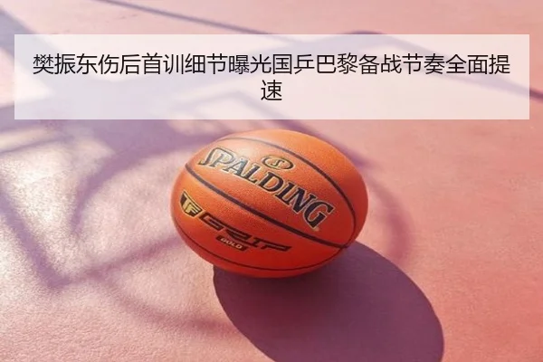 樊振东伤后首训细节曝光国乒巴黎备战节奏全面提速